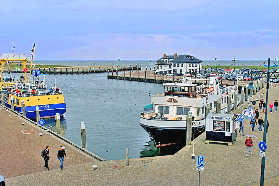 oudeschild harbour in texel