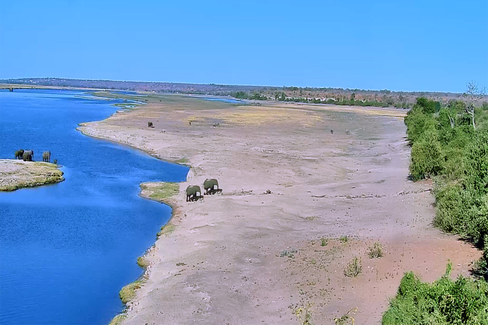 chobe river in botswana                            
